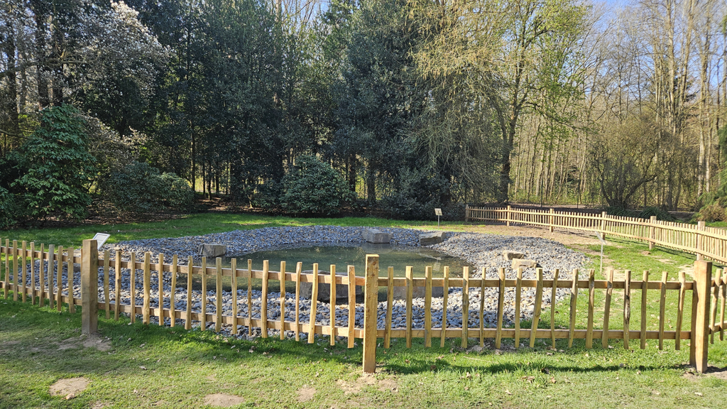 Amphiebienschutzgewässer im Forstbotanischen Garten