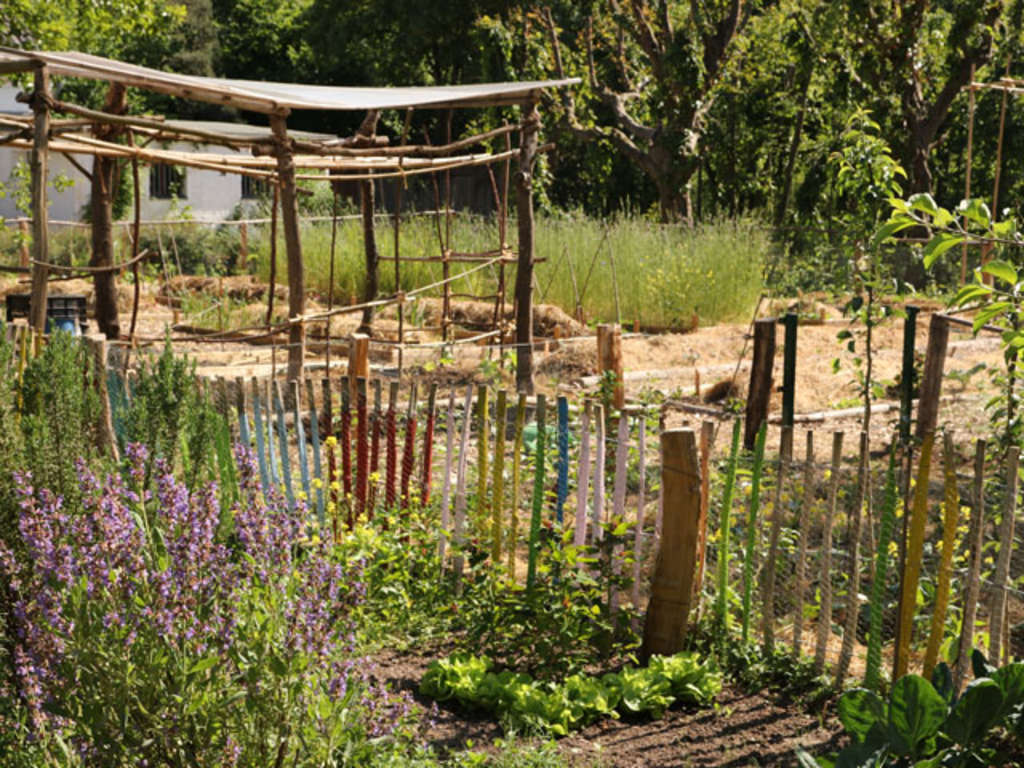 Gemüsegarten in Finkens Garten