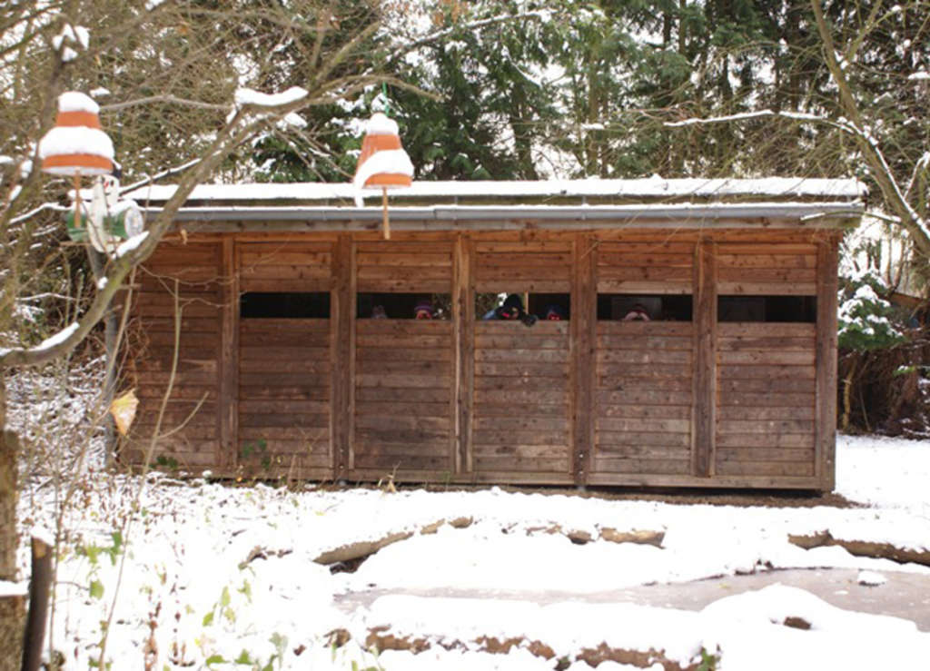 Vogelbeobachtungshütte