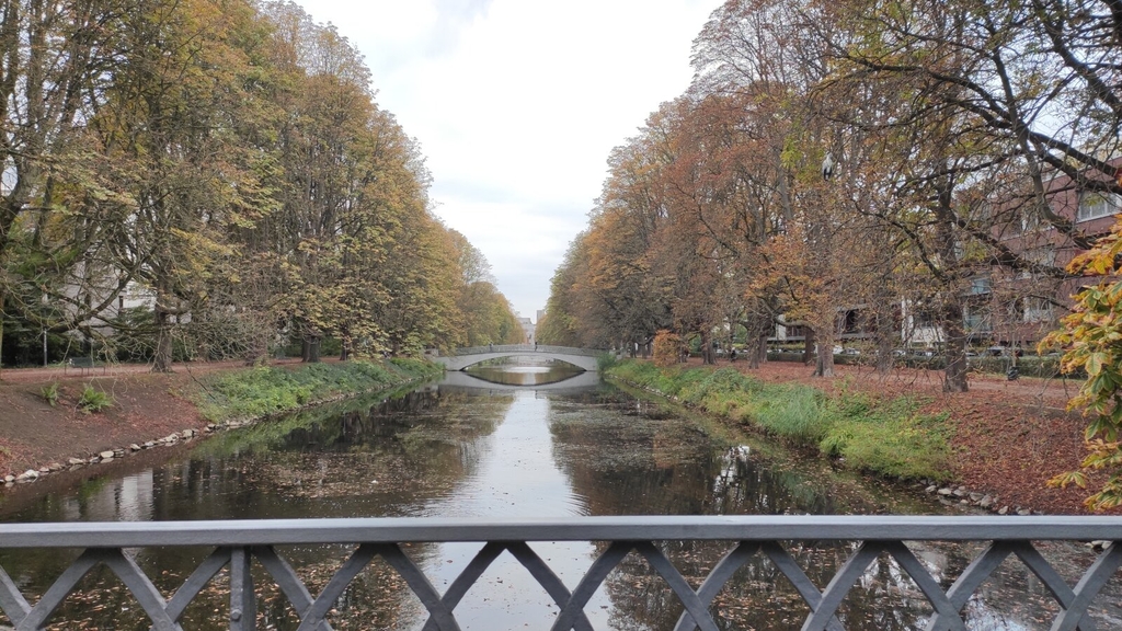 Blick auf den herbstlichen Clarenbachkanal von der Universitätsstraße aus gesehen.