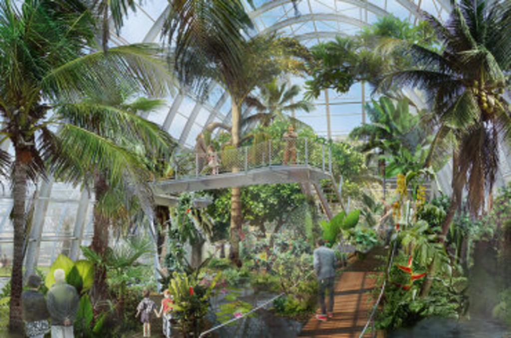 Tropenhaus-Entwurf, Link auf Die Schaugewächshäuser im Botanischen Garten - Stadt Köln