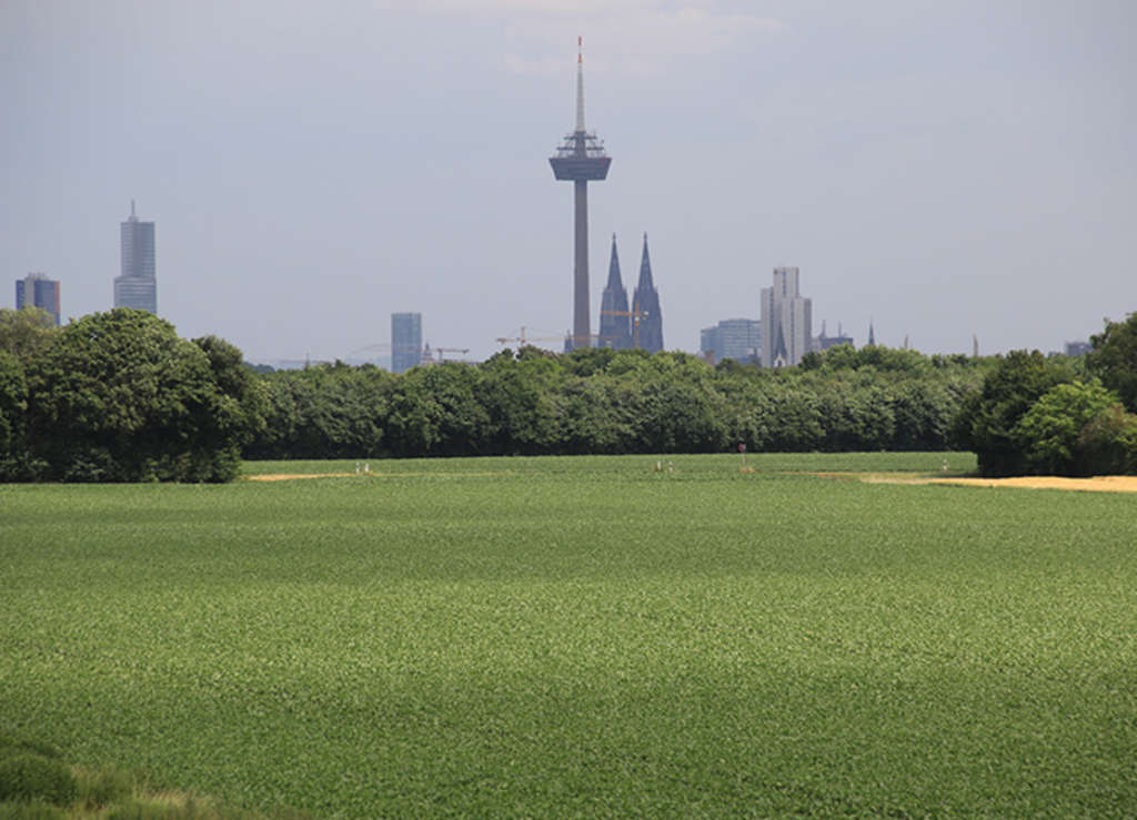 Landschaftspark Belvedere