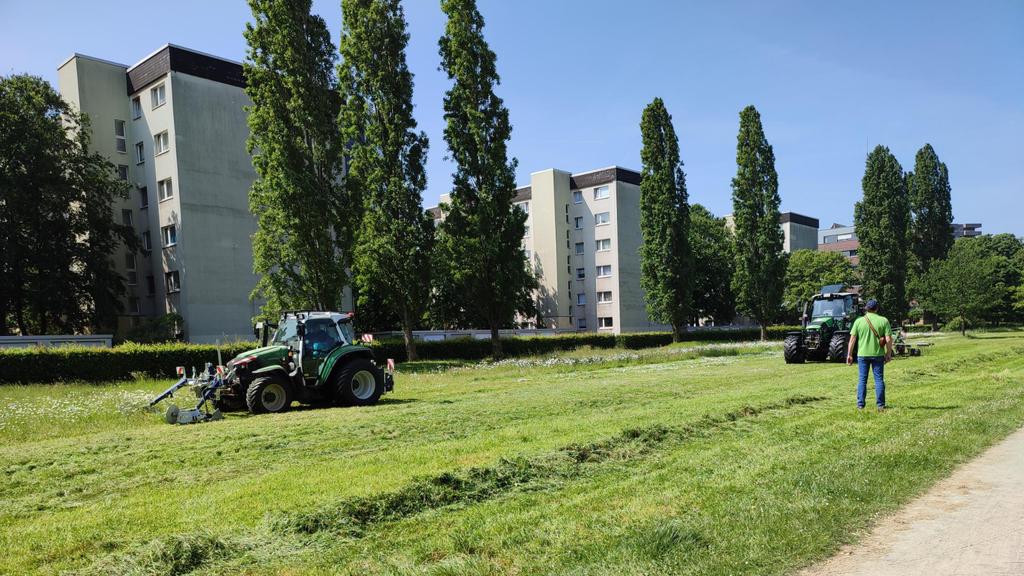Foto von zwei Traktoren, die einen breiten Grünstreifen mähen. Im Hintergrund mehrere Mehrfamilienhäuser.