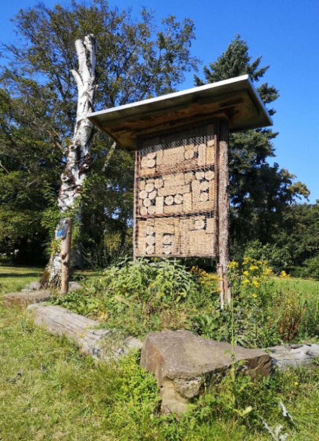 Insektenhotel im Grünen