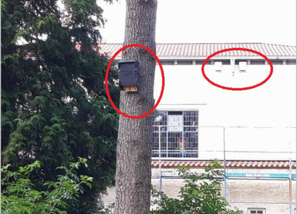 Fledermaushöhlen Westfriedhof