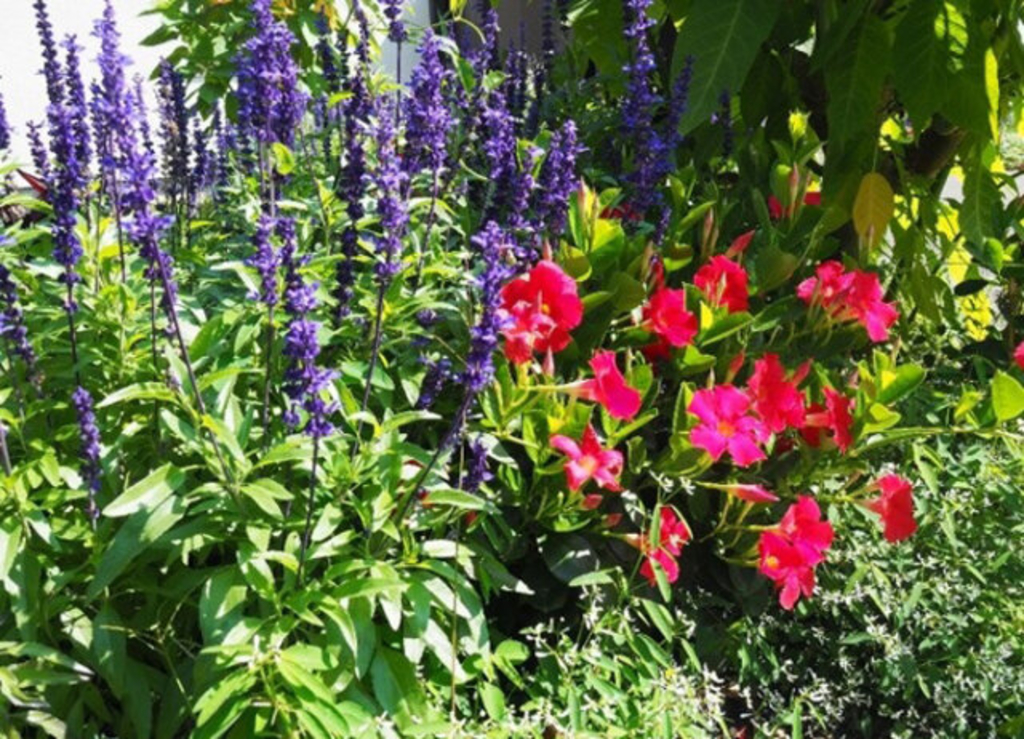 Blumen an Trauerhalle Köln-Kalk