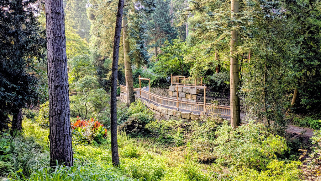 Ein Weg durch die Rhododendronschlucht