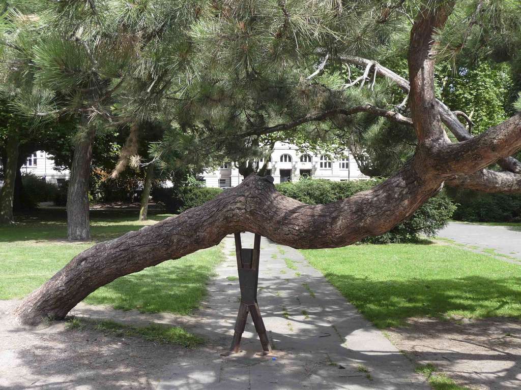 Römerpark, Schräg stehender Baum, der von einer Skulptur gestützt wird