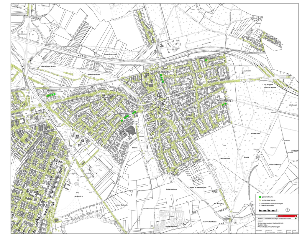 Karte Straßenbaumkonzept