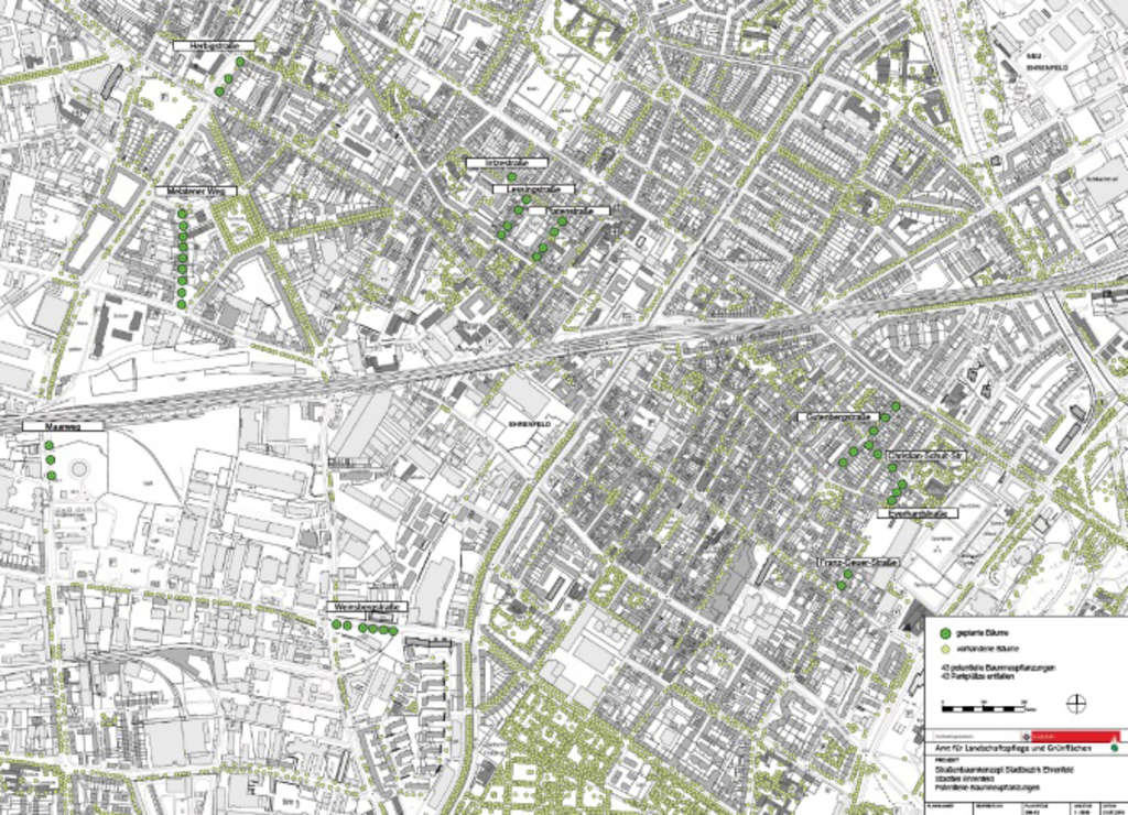 Straßenbaumkonzept Köln Ehrenfeld
