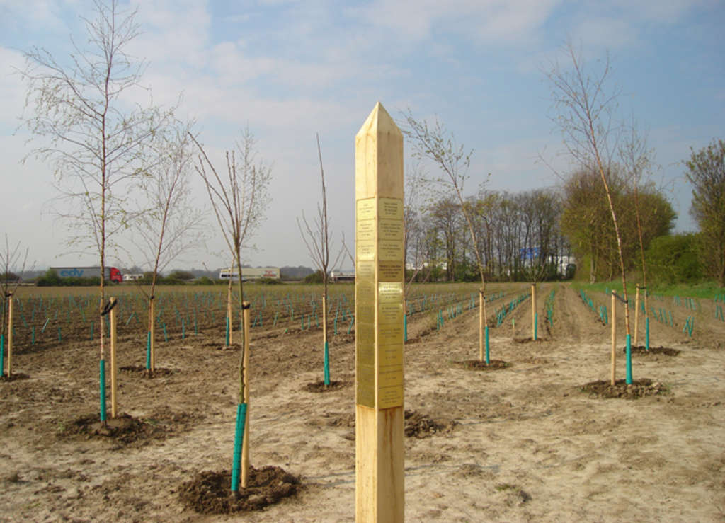 Neu gepflanzte Büme und eine Stele mit den Namen der Spenderinnen und Spender