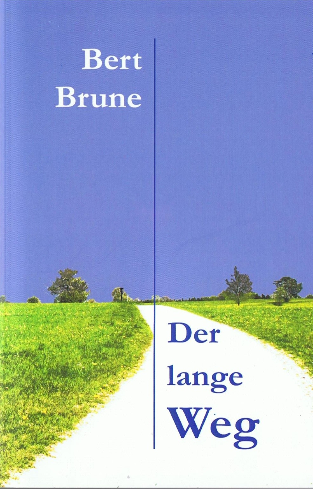 Buchcover "Der lange Weg"; darauf zu sehen ein Weg der durch eine Wiese führt und blauer, wolkenfreier Himmel.
