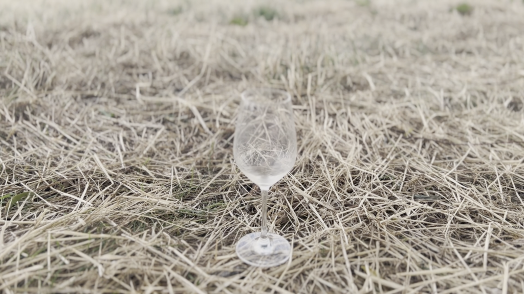 Ein leeres Weinglas steht auf einem Feld