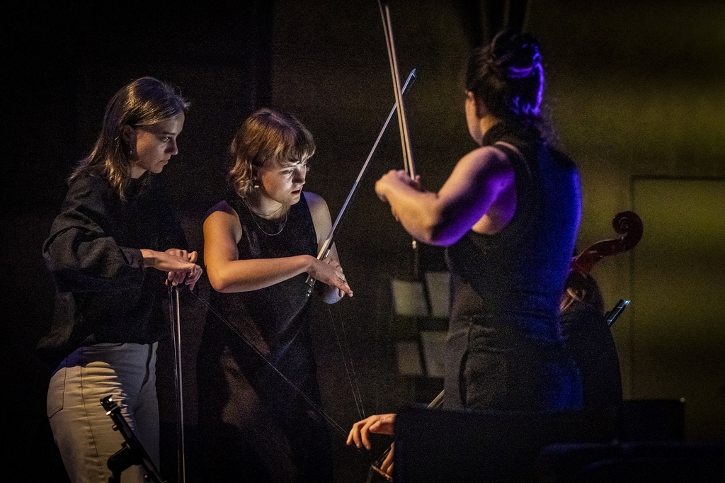 Mehrere Künstler*innen zupfen an einem Instrument