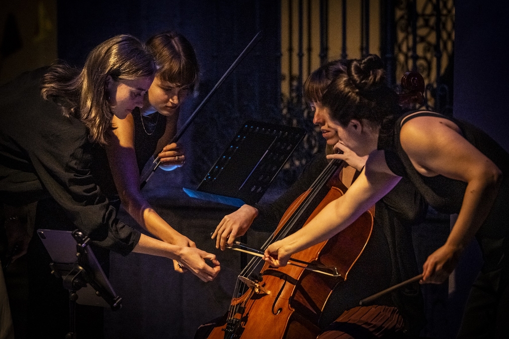 Mehrere Künstler*innen zupfen an einem Instrument