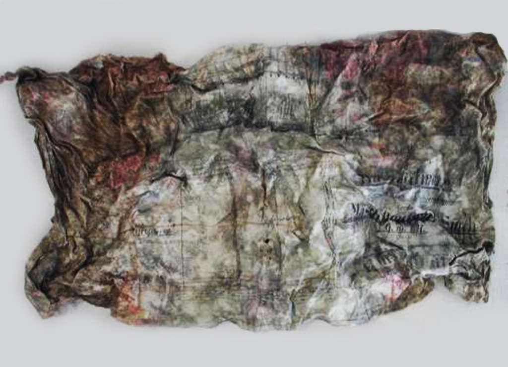 Kölner Schadensbilder - Mikrobieller Befall