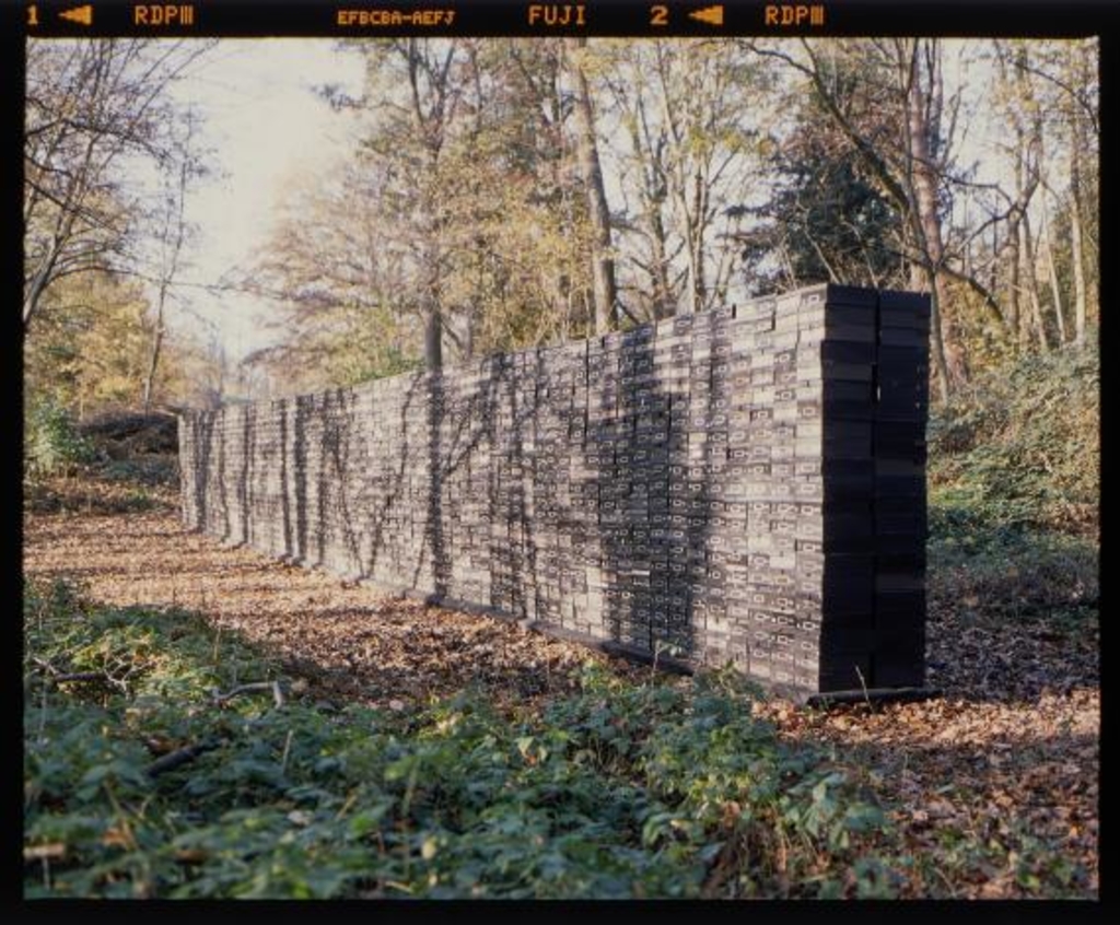 Aufgestapelte Archivkartons im Wald