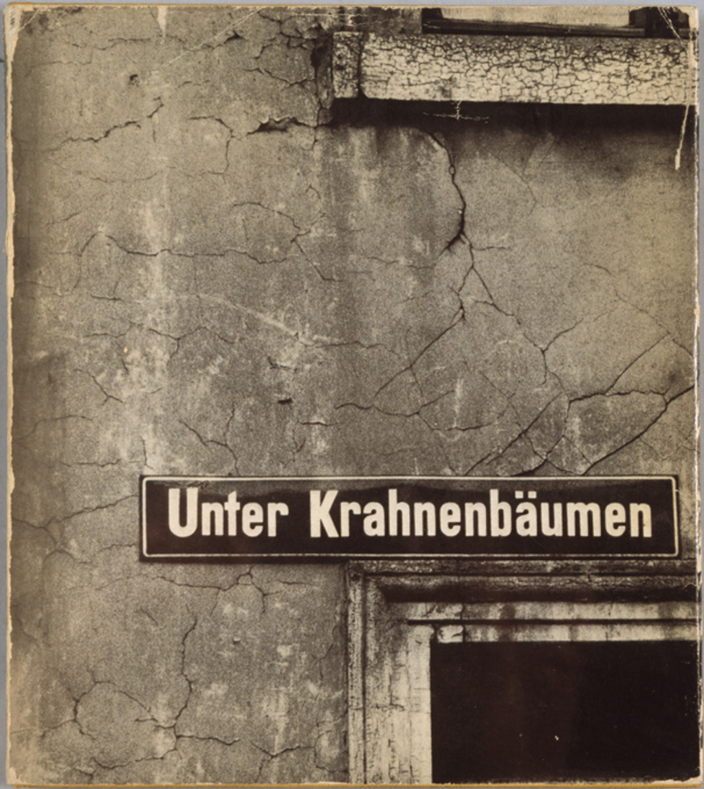 rba_c021581 (Buchumschlag, Titelseite: "Unter Krahnenbäumen")