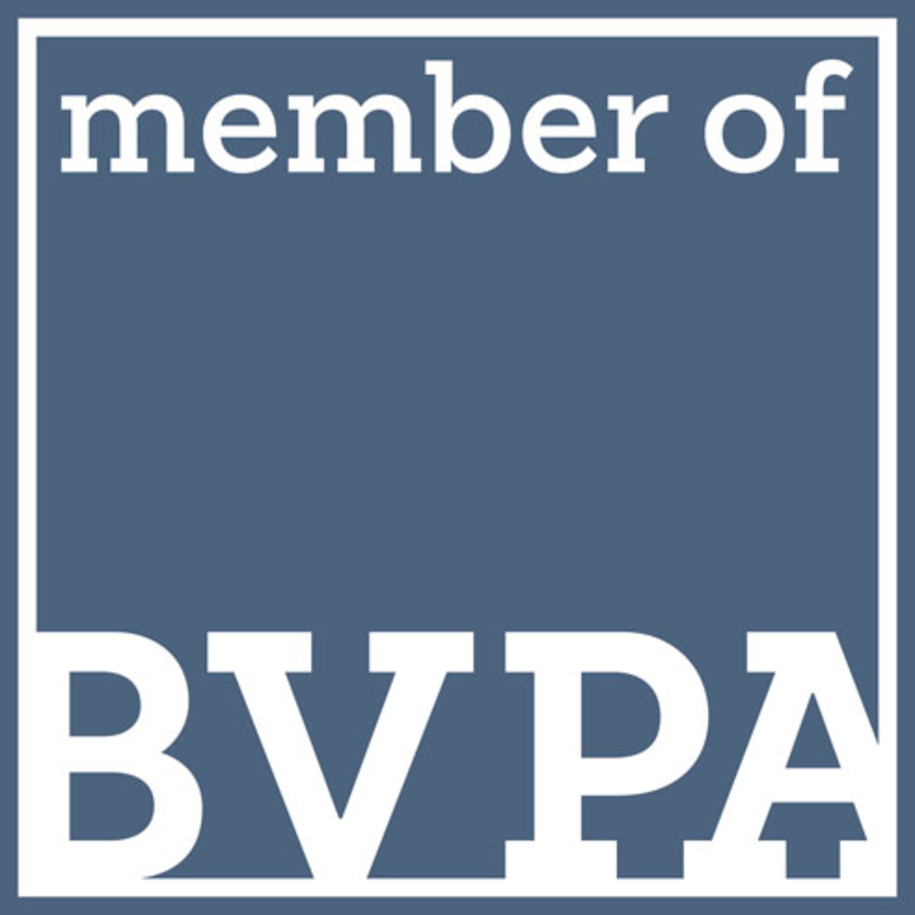 Bundesverband professioneller Bildanbieter e. V. (BVPA) - Logo