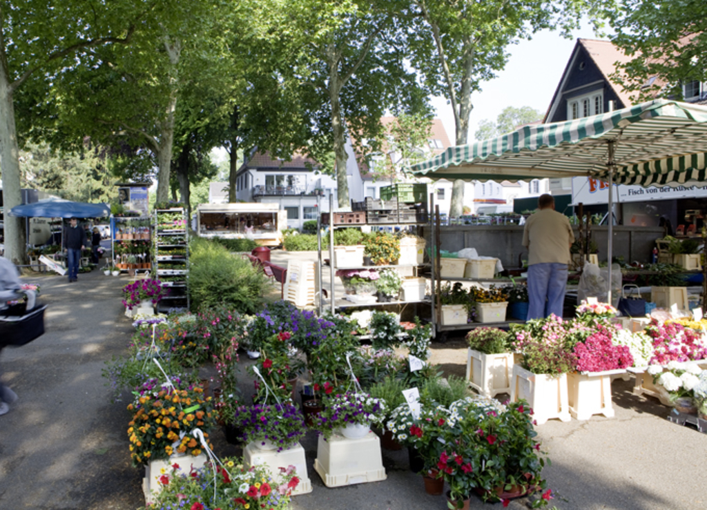 Wochenmarkt Weiden, Emil-Schreiter-Platz