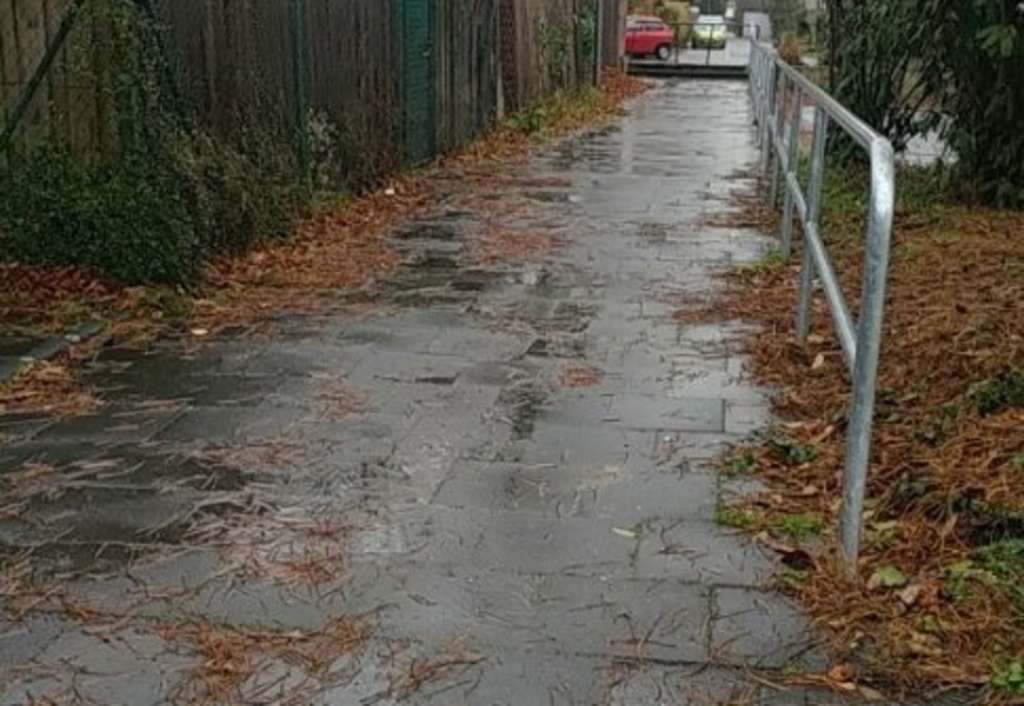 Gehweg mit Laub verschmutzt