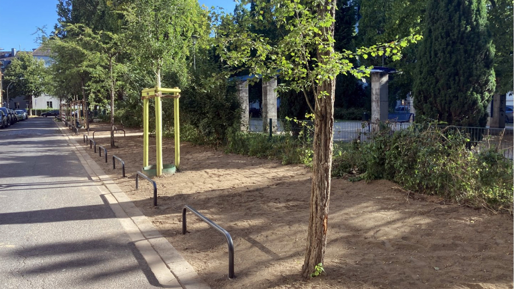 Die Baumreihe ist durch Neupflanzungen wiederhergestellt.