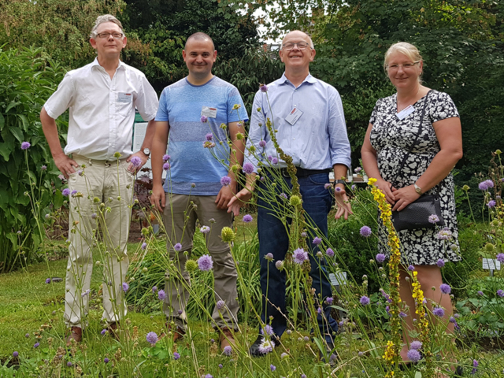 v.l.: Dr. Stephan Anhalt, Leiter Botanischer Garten, Robert Schallehn, Geschäftsführer Umweltbildungszentrum, Heideportal Gut Leidenhausen, Konrad Peschen, Leiter des Umwelt- und Verbraucherschutzamtes, und Gabriele Falk, Bund für Umwelt und Naturschutz Deutschland (BUND), Kreisgruppe Köln beim Pressetermin im „Arzneigarten“ des Botanischen Gartens.