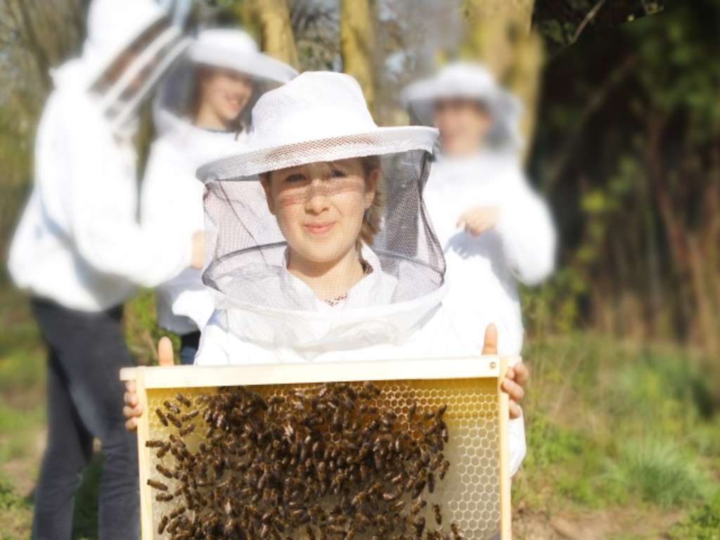 Imkerin mit Imkerhut und Bienenstock