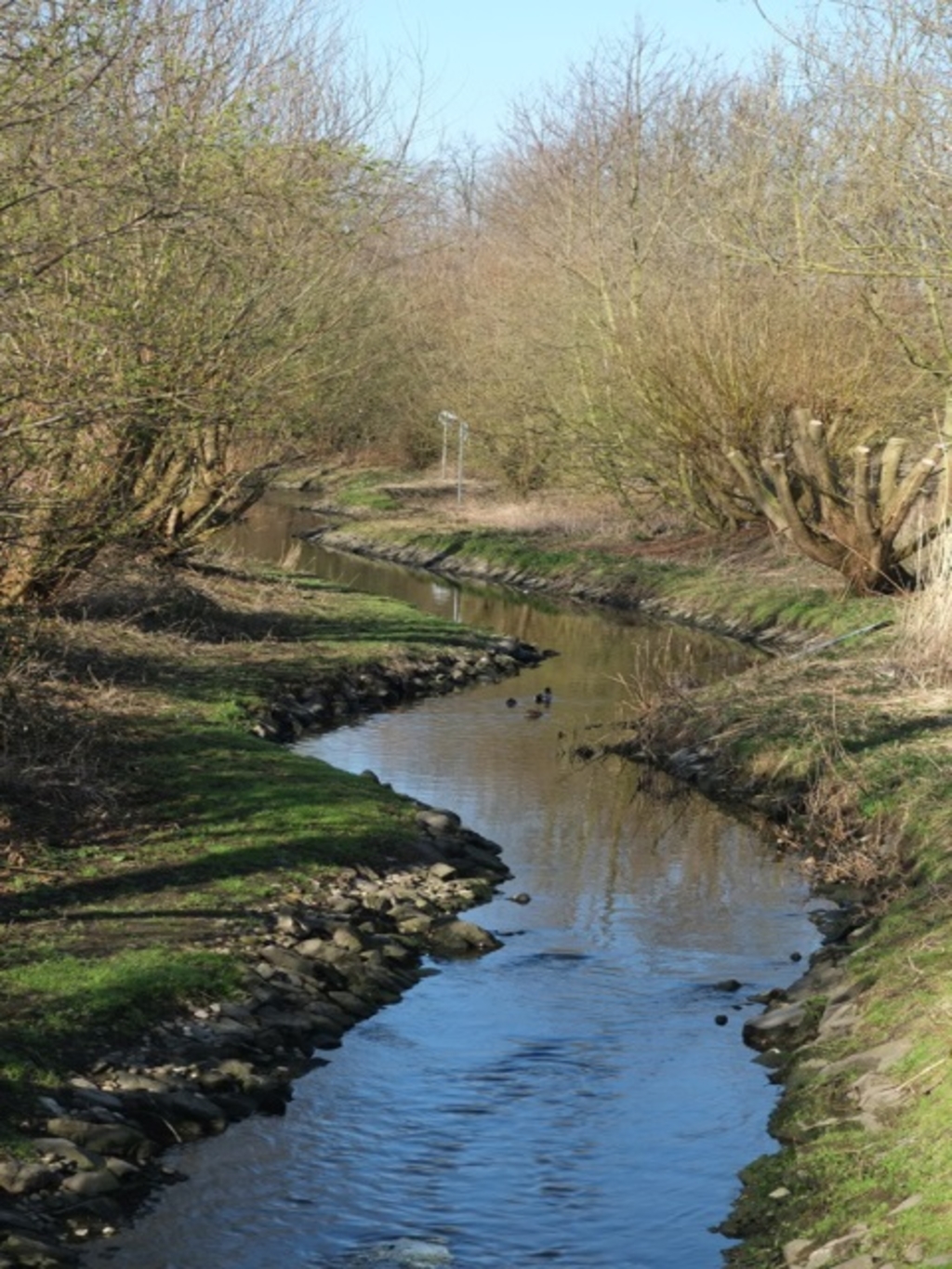 Frechener Bach Foto 1