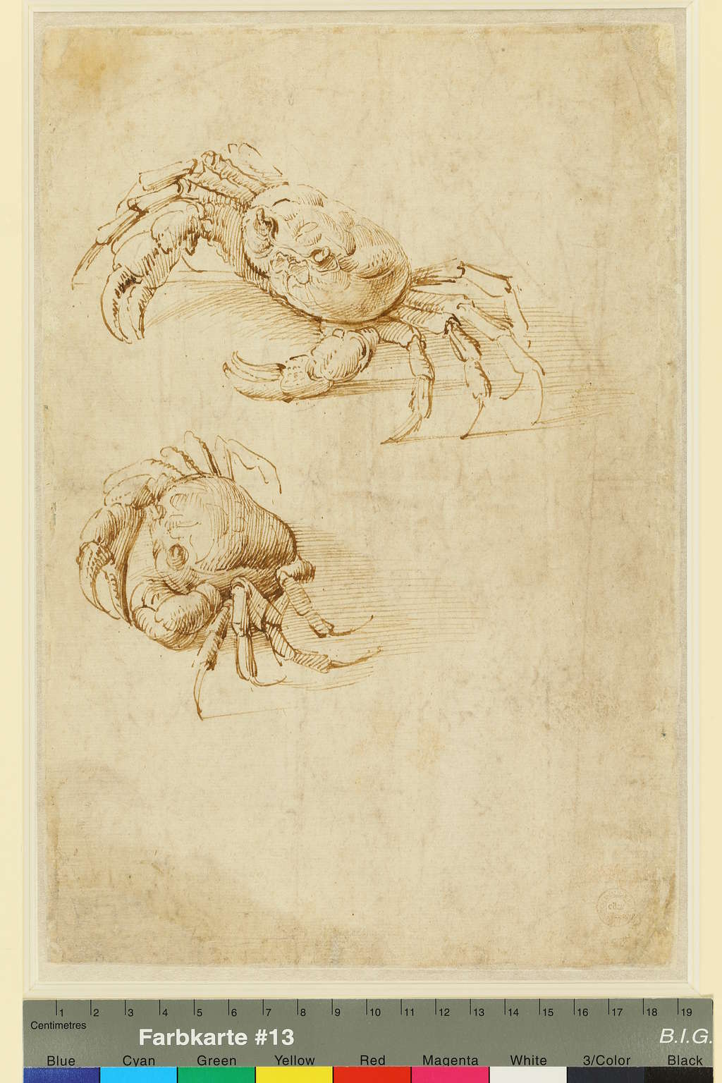 Leonardo da Vinci Krebse