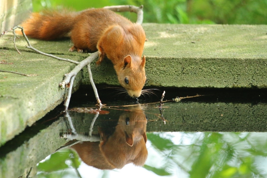 67_FOTO_Lebendige Friedhoefe