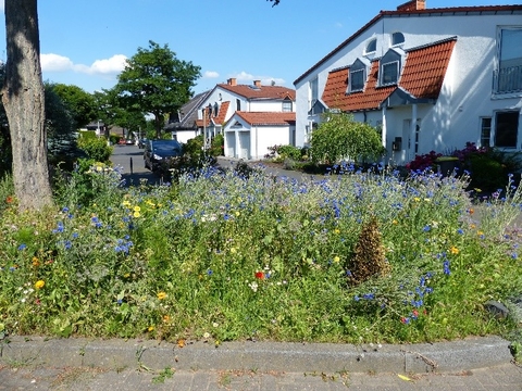 Stadt Kln zeichnet naturnahe Grten aus - Stadt Kln