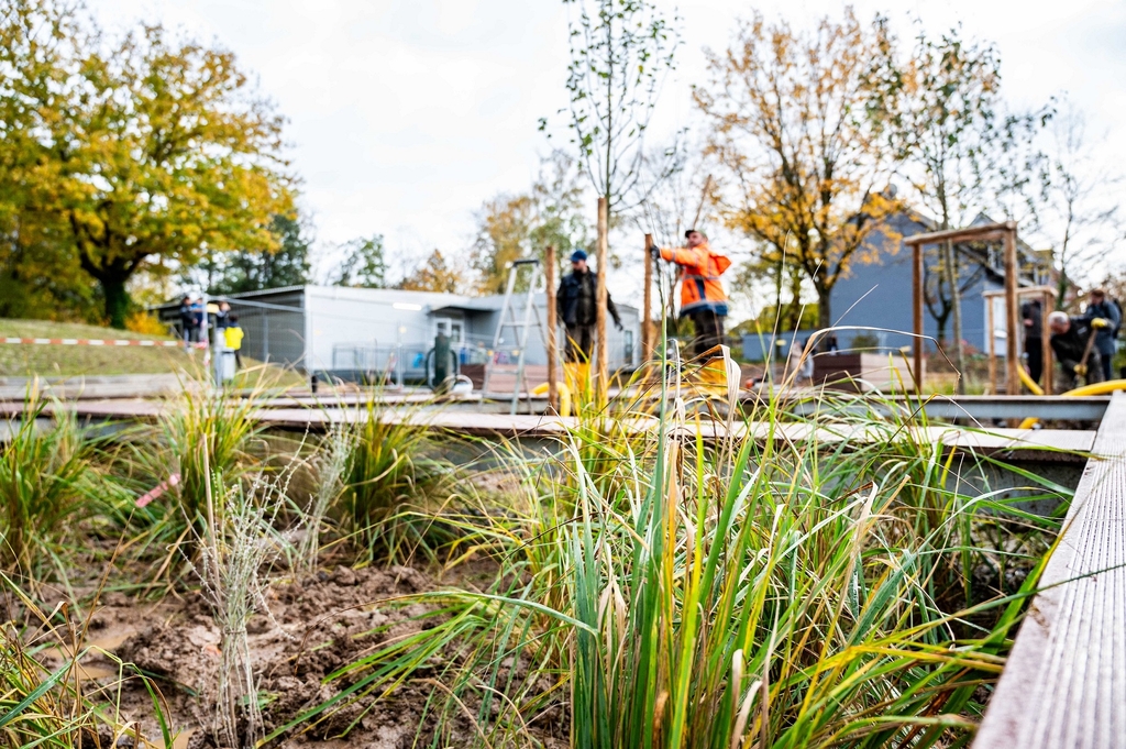 Entsiegelung Fuehlingerweg4 Nov2023 Stadtköln Timm Bourry