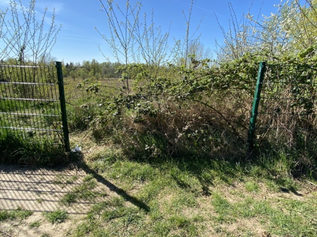 Am Ginsterpfad Aussichtspunkt Zaundemontage