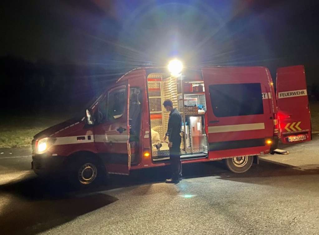 32 Foto Tiertransport 5