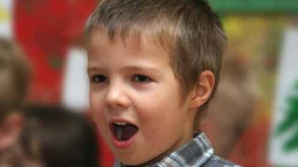 Singender Junge, Link auf Gesangsunterricht