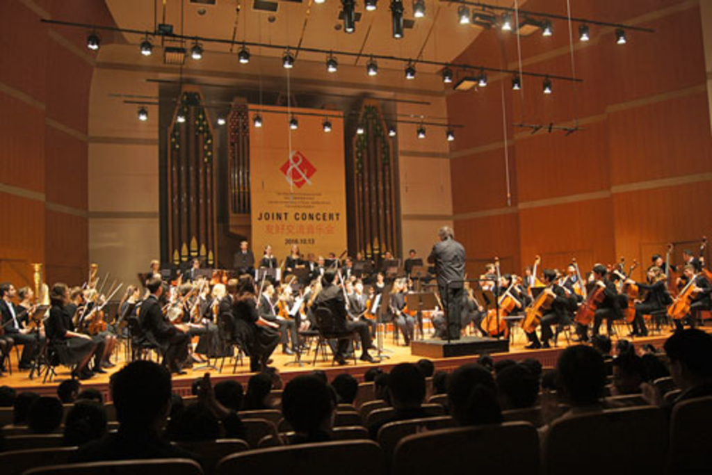 Das Orchester inklusive Gastgeber zeigen sich unter beiden Dirigenten äußerst spielfreudig und begeisterte das Publikum.