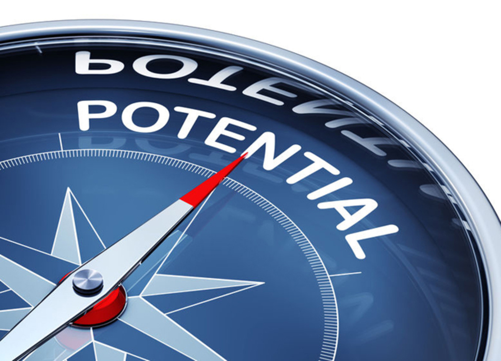 Abbildung eines Kompasses. Die Nadel zeigt auf das Wort Potential