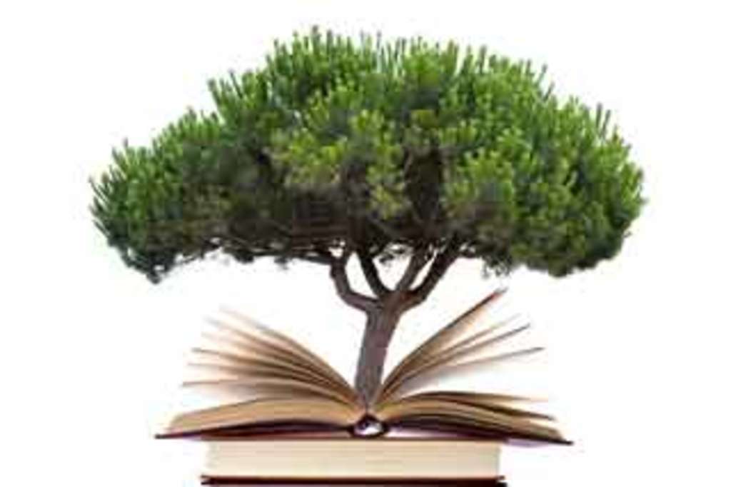 Collage Baum auf Büchern