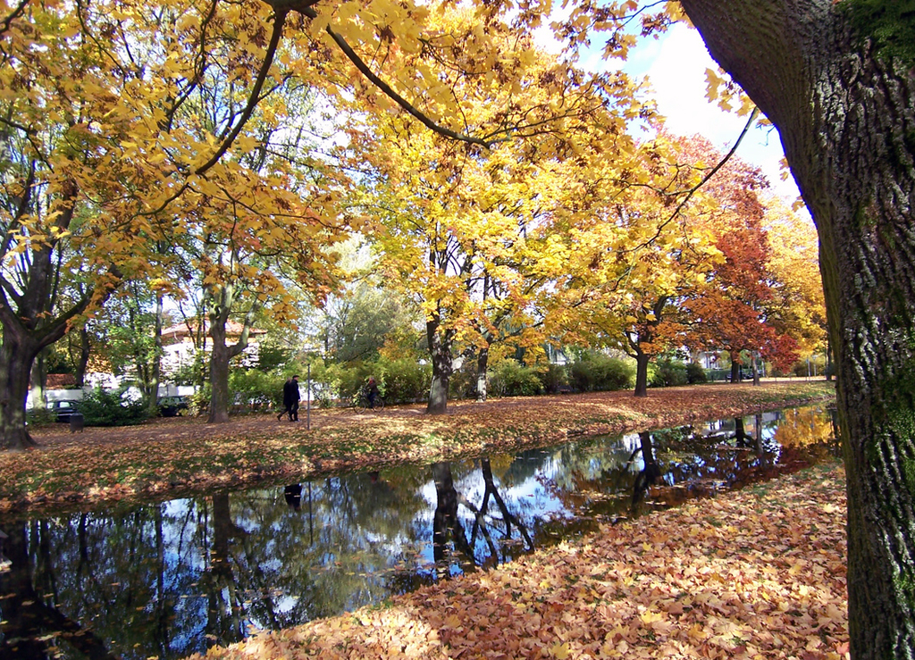 Herbststimmung am Rautenstrauch Kanal in Lindenthal