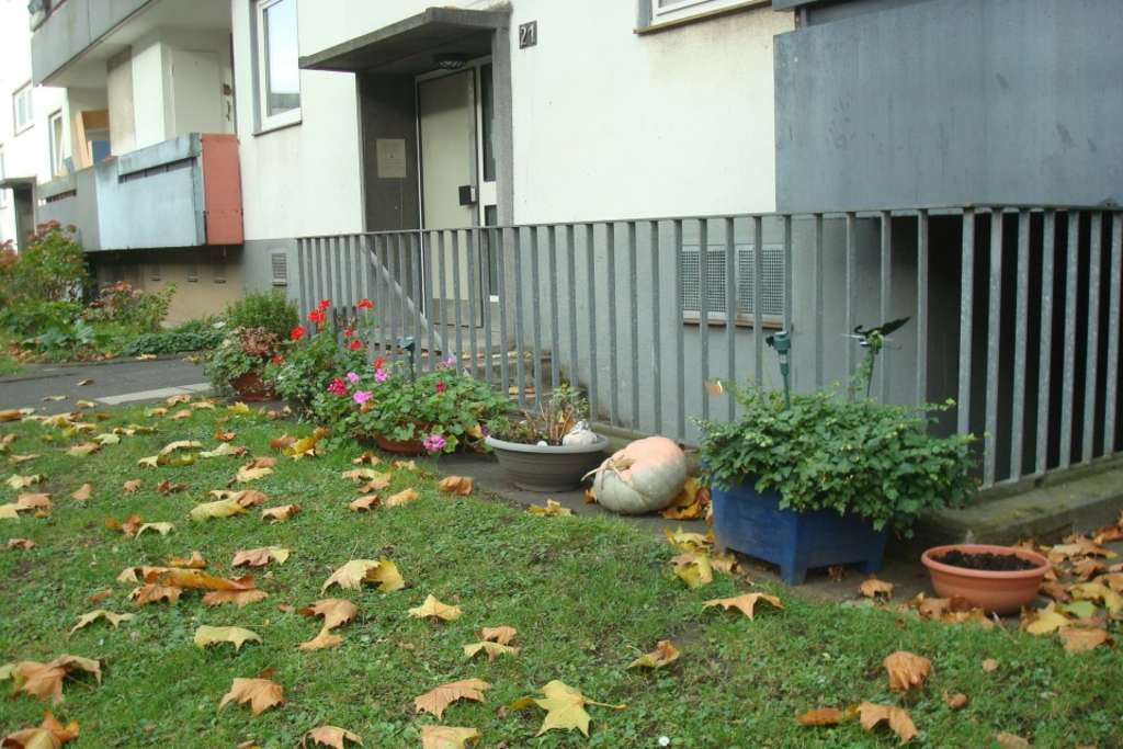 Kannebäcker-Siedlung (Straßenquerung)