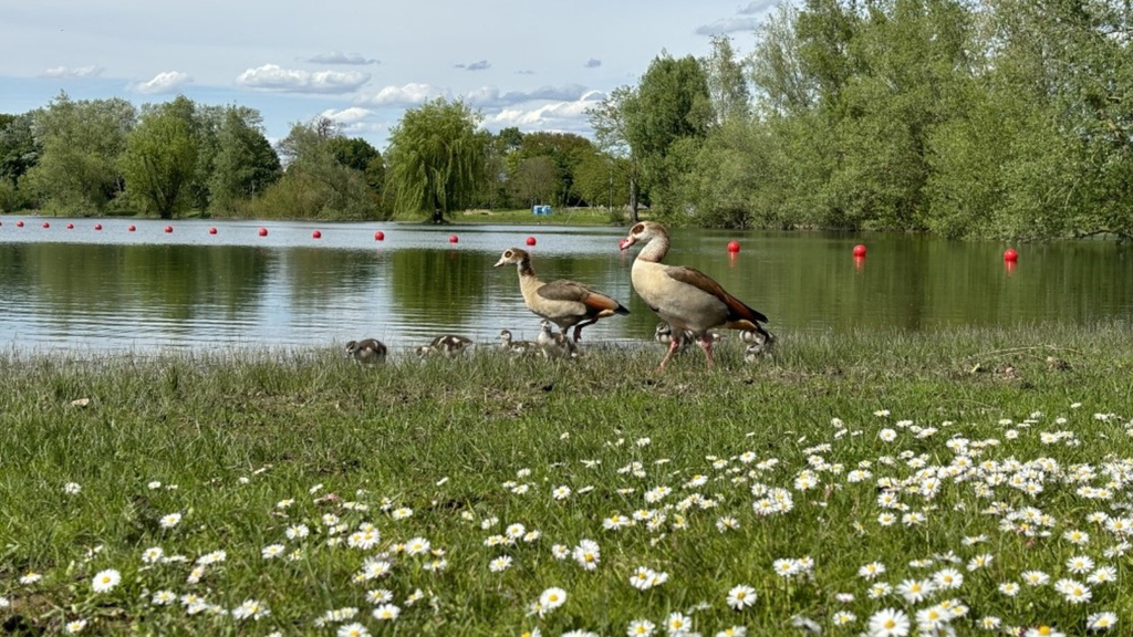 Fühlinger See_Badestelle
