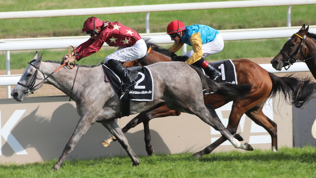 Preis von Europa-Galopprennen