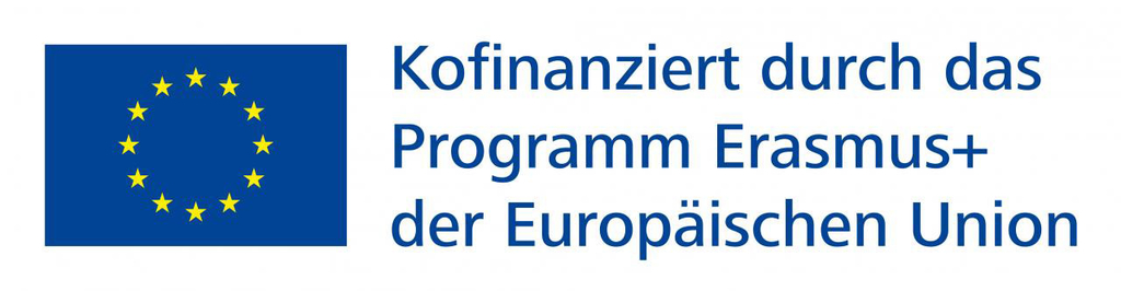 Logo Kofinanzierung Erasmus Rgb 320