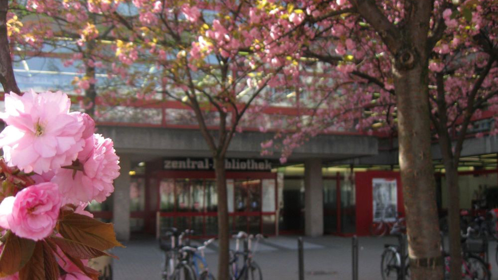 Foto mit Tiefenschärfe von der Zentralbibliothek Köln, im Vordergrund die Kirschblüte