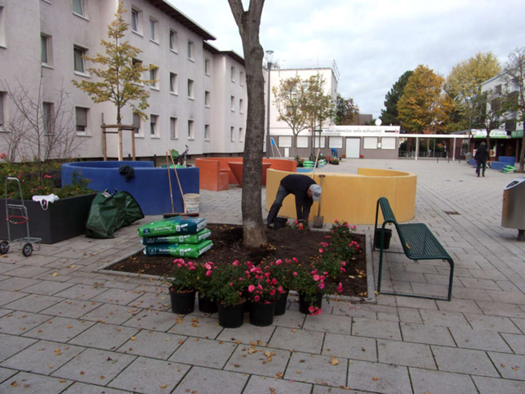 Ein Beet wird während der Pflanzaktion auf dem Marienberghof bep