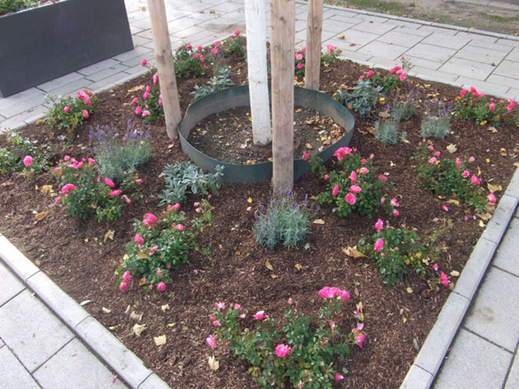 Fertig bepflanztes Beet Marienbergerhof