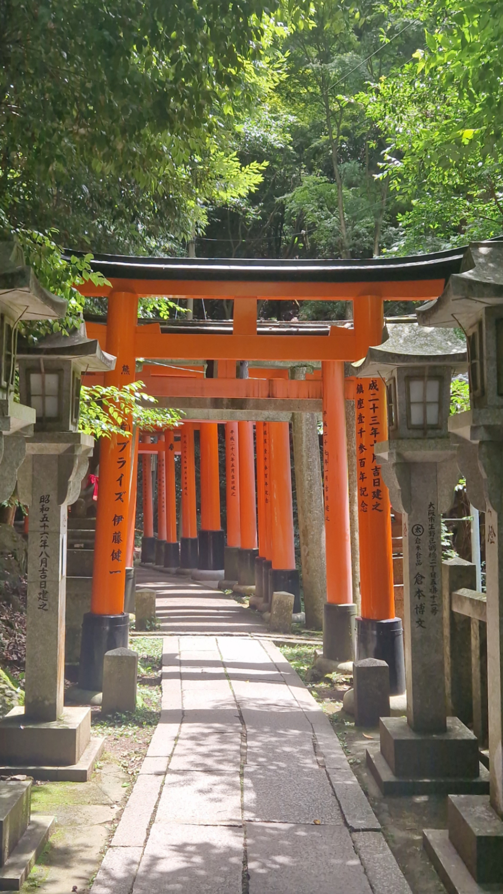 Studienreise Japan - rote Tore in Japan