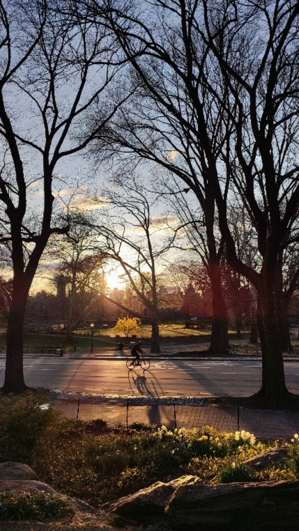Sonnenuntergang im Central Park, ein Radfahrer fährt durch das Foto