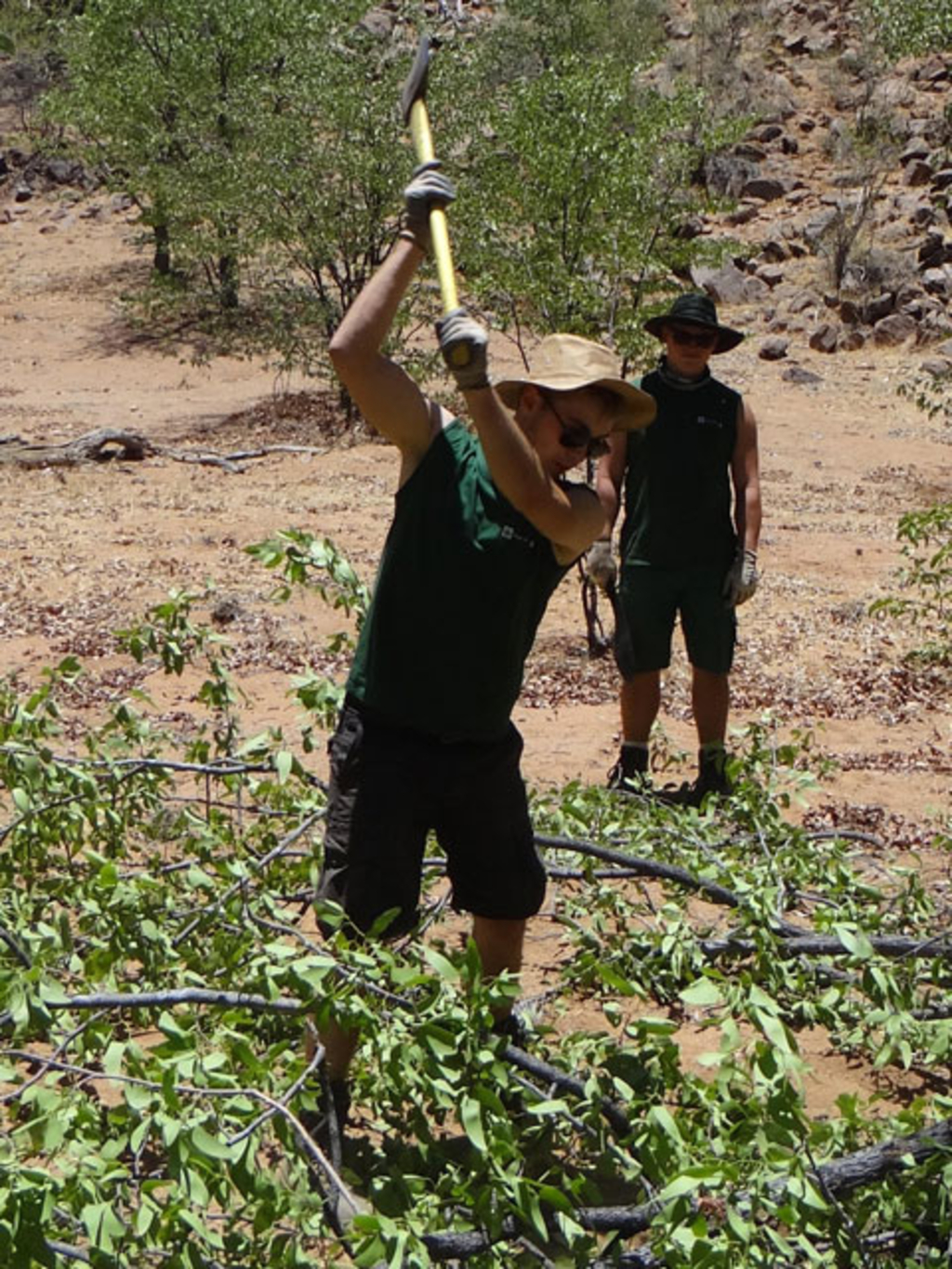 Arbeit an der Wasserstelle
